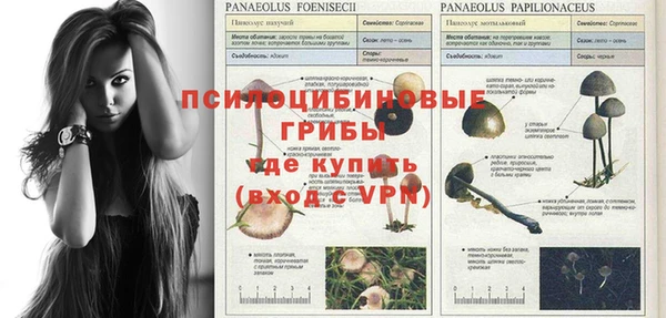 твердый Мегион