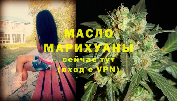 твердый Мегион