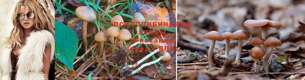 марки nbome Магас